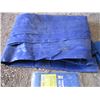 Image 3 : (3) blue tarps