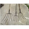 Image 2 : (3) pitch forks