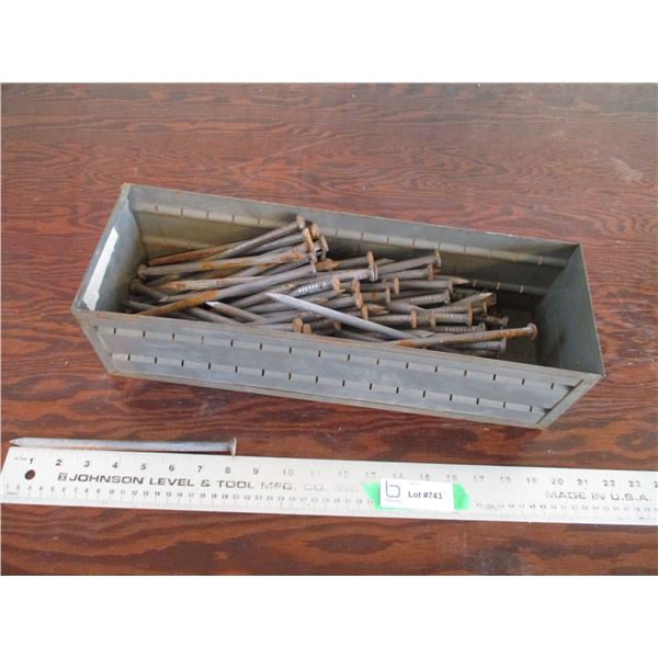 8" corral spikes