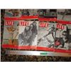 Image 3 : (9) life magazines 1947
