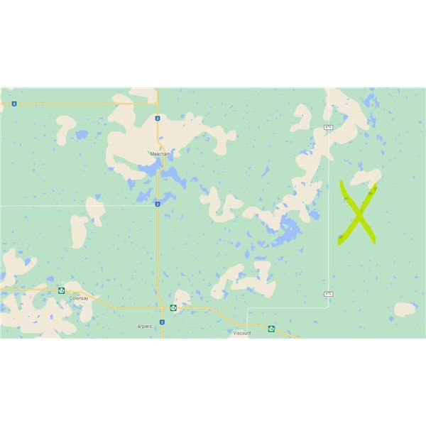 DETAILS FOR THIS AUCTION