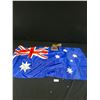 Image 1 : Nice Folk Art Piece and Flag