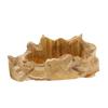 Image 1 : Solid Burl Card Stand Rare Afzelia (DEC-090)