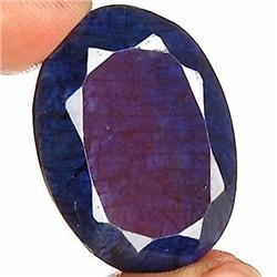 88ct Huge Stunning Royal Blue Natural African Sapphire RETAIL $8500 (GEM-7797)