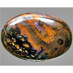 52.75ct RARE Oval Cab Multicolor 100% Natural Boulder Opal RETAIL $4500 (GEM-7391)