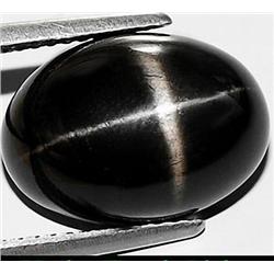 9.00ct. Gorgeous Cabochon Natural Top Black Star Garnet RETAIL $1150 (GEM-3596)