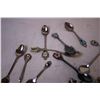 Image 3 : (20) Collectible Spoons