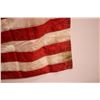Image 3 : American Flag (Some Tearing)