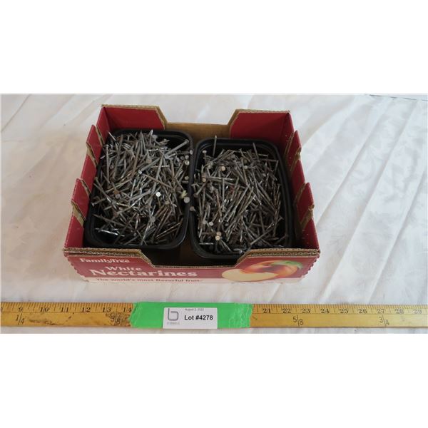 Box of Nails