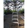 Image 2 : Step Ladder-8’