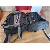 Image 2 : (2) Backpacks