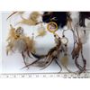 Image 2 : Assorted Dream Catchers