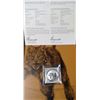 Image 2 : 2014 Bobcat $20. .9999 pure silver. In folder of issue.