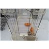 Image 3 : Large white bird cage with accessories