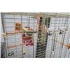Image 5 : Large white bird cage with accessories