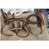 Image 3 : wood box of misc horse tack, bits, leads.