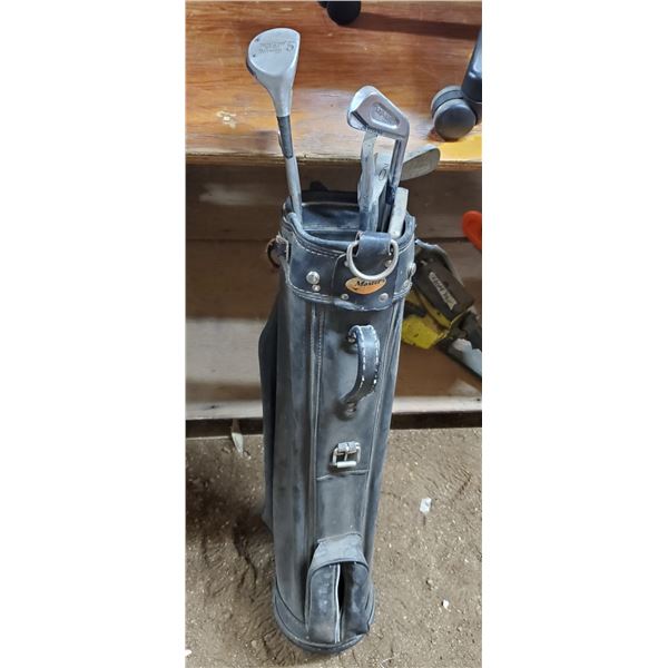 golf bag w/ some clubs