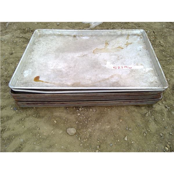 13 Aluminum Trays