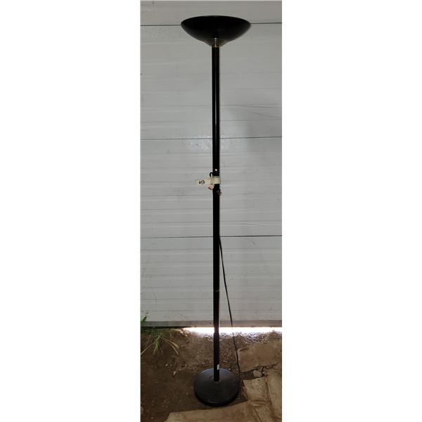 halogen floor lamp (working)