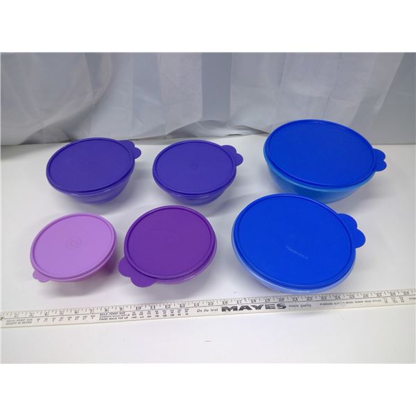 6 Tupperware Bowls