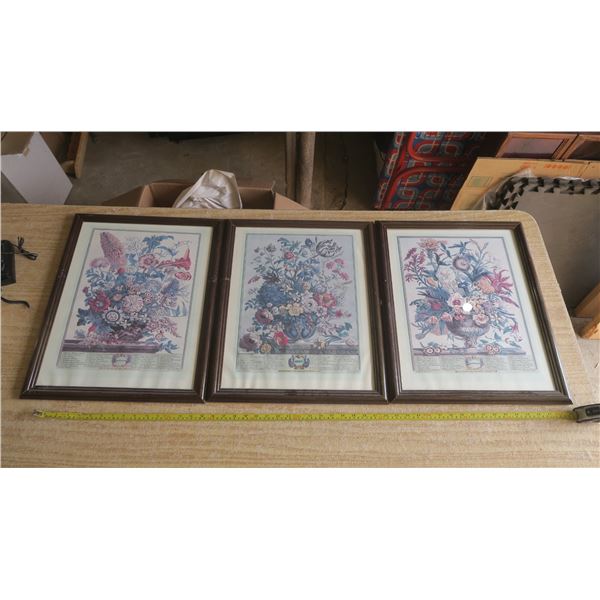 3 Floral Prints - 17x21"