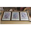 Image 1 : 3 Floral Prints - 17x21"