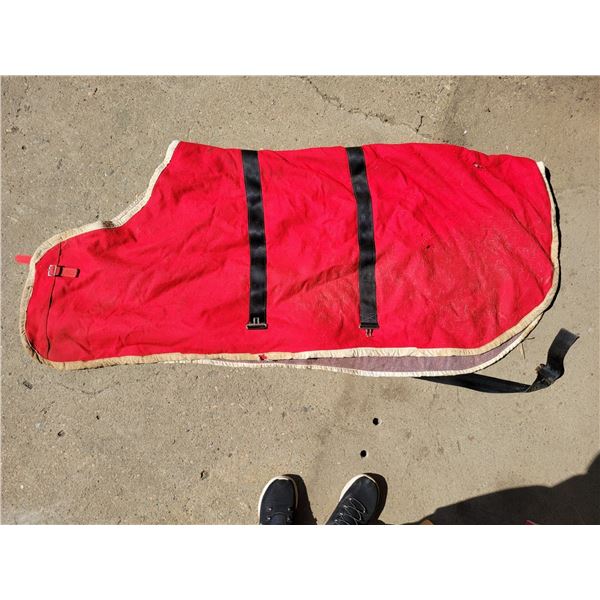 Horse blanket