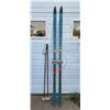 Image 1 : Set of Green Skiis with Red Poles, H-6Ft 7"