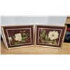 Image 1 : Set of 2 White Flower Pictures, Framed