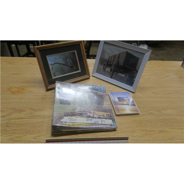 Pictuer lot, 2 pictures, 2 albums