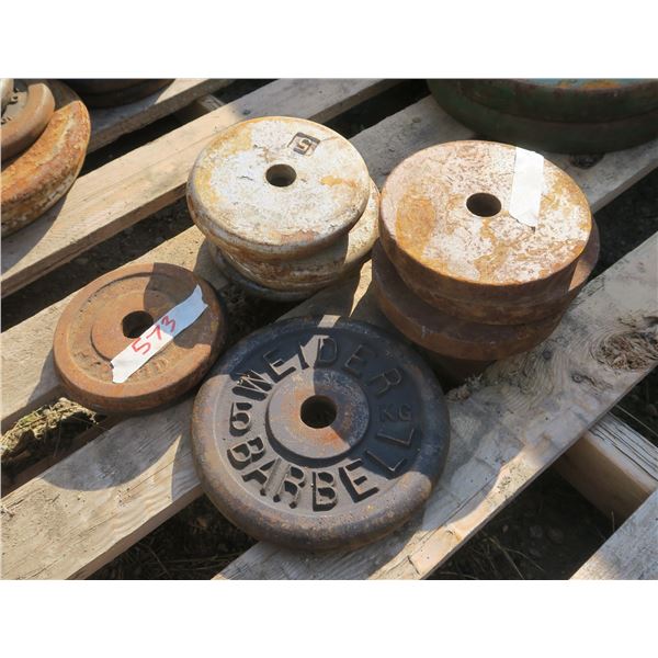 Misc. Smaller Weight Plates 1"