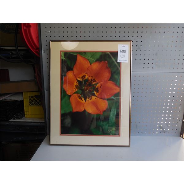 Framed photo 24 x 18