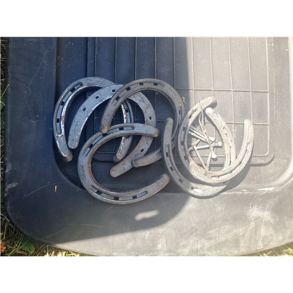 lot of minature horse horseshoes
