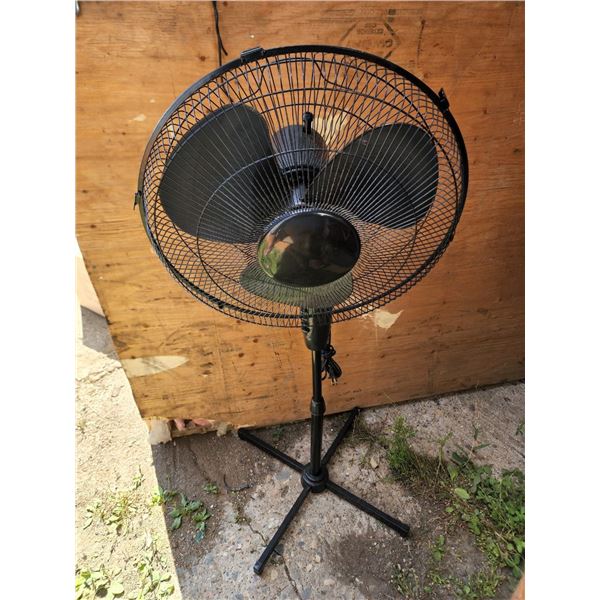 Black Oscillating Floor Fan