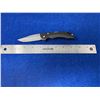 Image 2 : Buck USA Black Lock Blade folding pocket knife with clip model 285