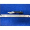 Image 2 : Buck Black Lock Blade folding pocket knife with clip model 311