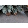 Image 2 : Silk Plant In Woven Planter (4)