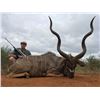 Image 7 : PHASA - Pick your own Trophies in Limpopo