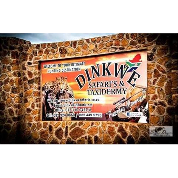 PHASA - Plains Game Hunt in Limpopo Province