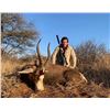 Image 12 : PHASA - Plainsgame hunt in Limpopo Province for 2 hunters