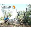 Image 9 : PHASA - Limpopo Plainsgame hunt for 2 hunter
