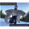 Image 1 : 5-Day Lynx Hunt (2023)