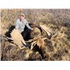 Image 2 : 10-Day Moose Hunt (2024)