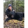 Image 2 : 7-Day Spring Black Bear Hunt (2023)