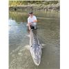 Image 4 : 2 Days Sturgeon Fishing on the Fraser River (2023 or 2024)
