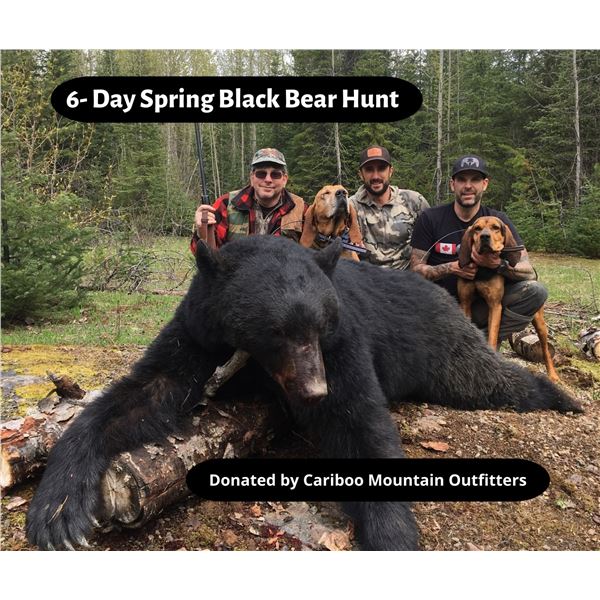 6-Day Spring Black Bear Hunt (2023)