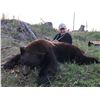 Image 3 : 6-Day Spring Black Bear Hunt (2023)