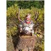 Image 2 : 7-Day Mule Deer Hunt