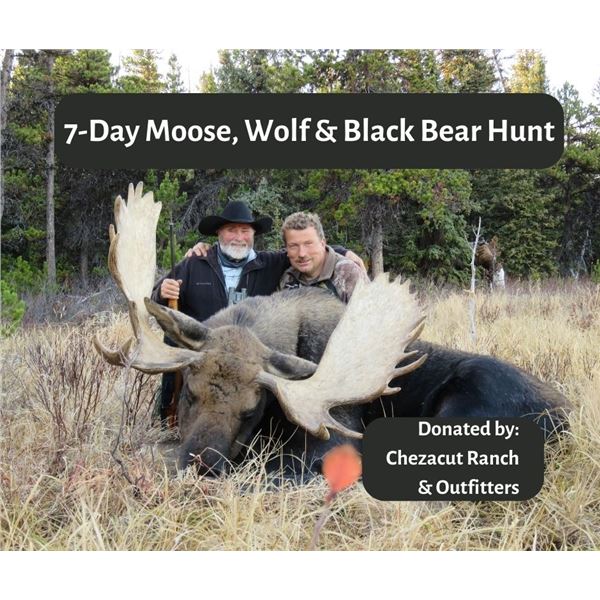 7-Day Moose, Wolf and Black Bear Hunt (2023)
