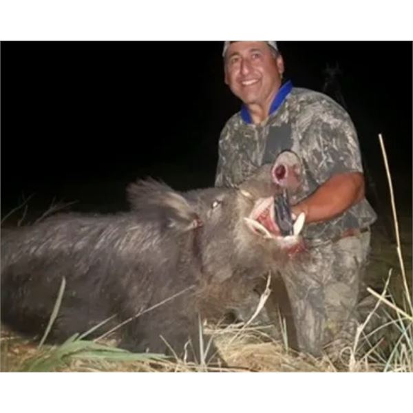 Texas Pig Hunt for 2 Hunters